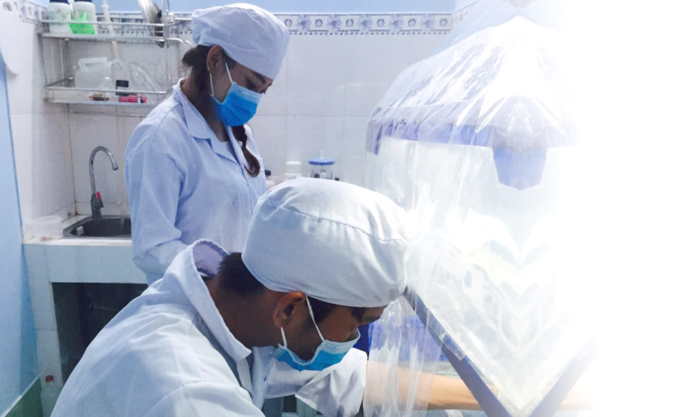 Các kỹ sư tại Hải Thương đang thực hiện công đoan cấy giống